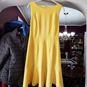 Lark and Ro Sleeveless Ruffle Hem shift dress